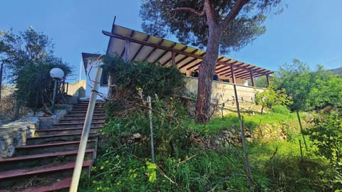 Photo of the lot 2