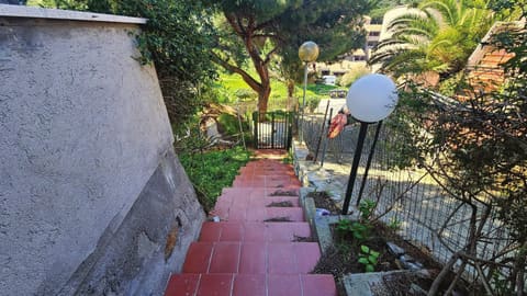 Photo of the lot 3
