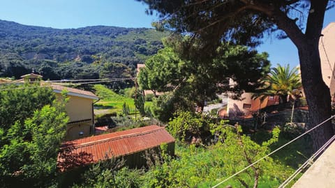Photo of the lot 6