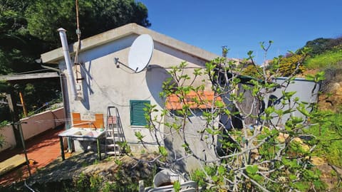 Photo of the lot 7