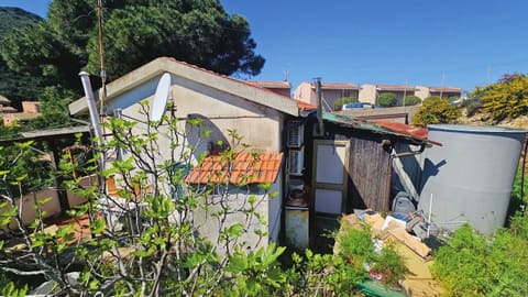 Photo of the lot 8