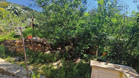 Photo: Altra categoria in Isola del Giglio (GR)