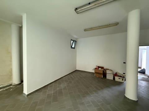Photo of the lot 8