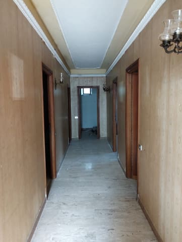 Photo of the lot 3
