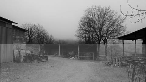 Photo of the lot 1