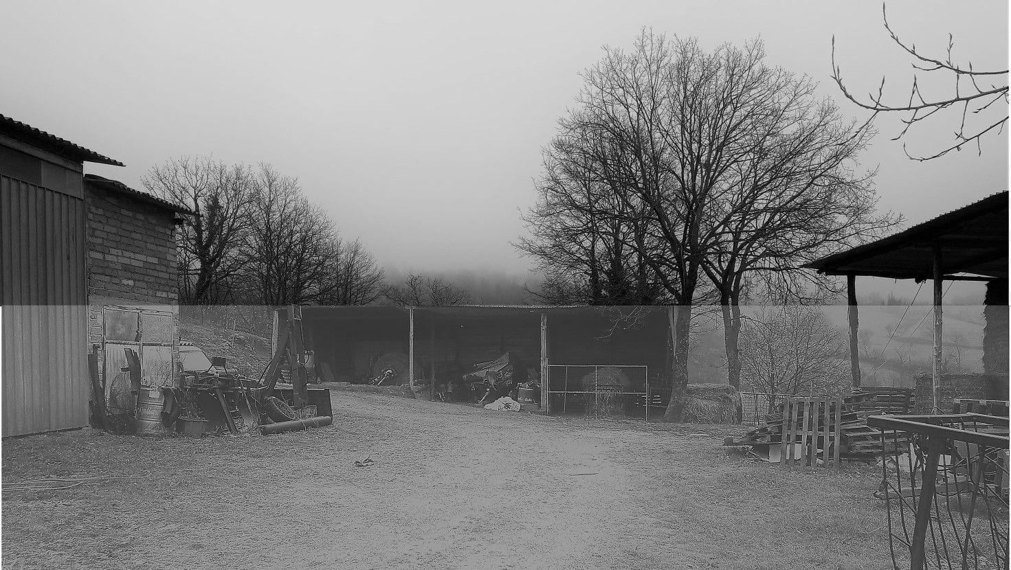 Photo of the lot: Altra categoria in Castell'Azzara