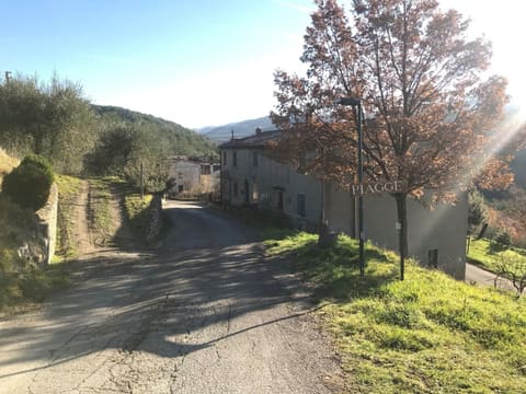 Photo of the lot 3