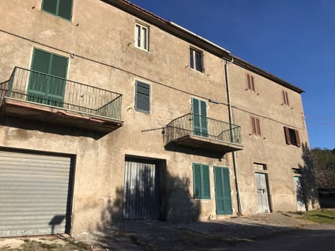 Photo of the lot 5