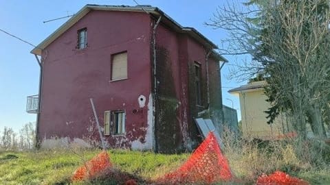 Photo of the lot 2