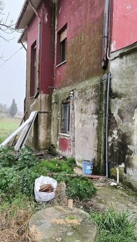 Photo of the lot 3