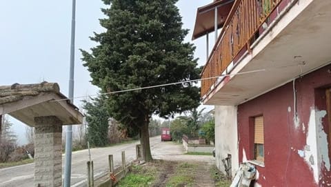 Photo of the lot 6