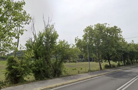 Photo of the lot 2