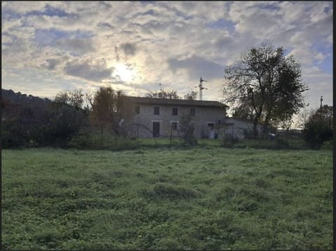 Photo of the lot 3