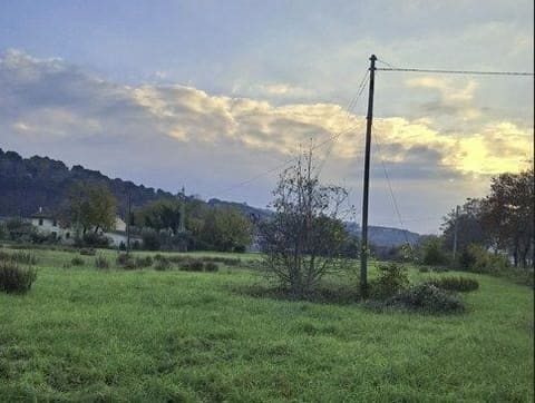 Photo of the lot 5