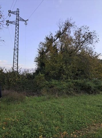 Photo of the lot 6