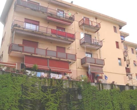 Photo of the lot 2