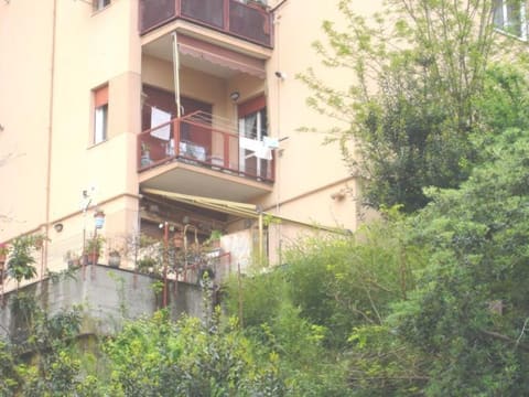 Photo of the lot 4