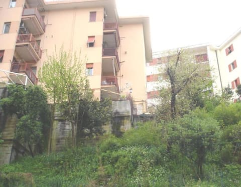 Photo of the lot 6