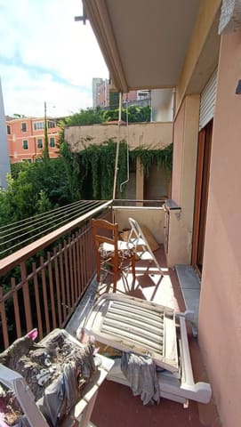 Photo of the lot 2