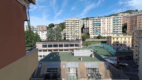 Photo of the lot 3