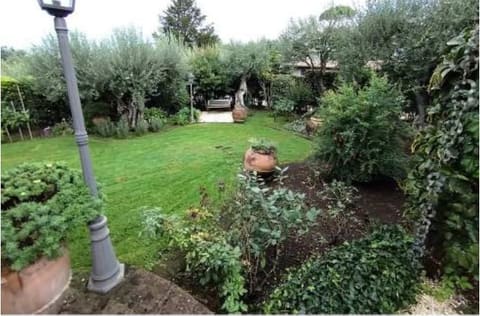 Photo of the lot 1