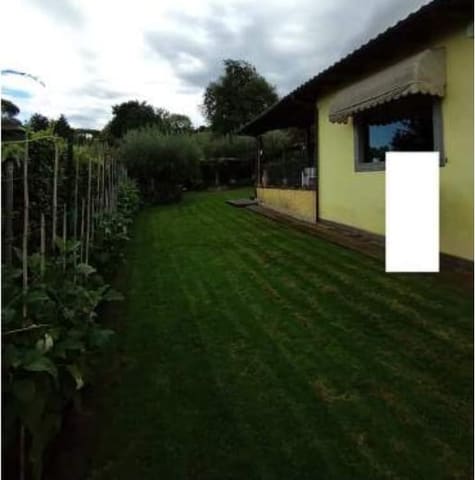 Photo of the lot 3