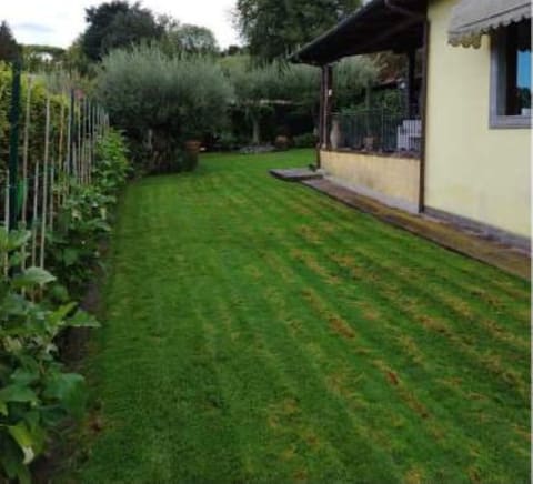 Photo of the lot 4