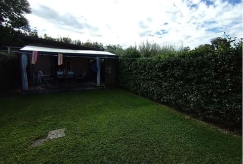 Photo of the lot 3