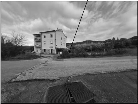 Photo of the lot 1
