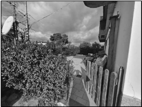 Photo of the lot 2