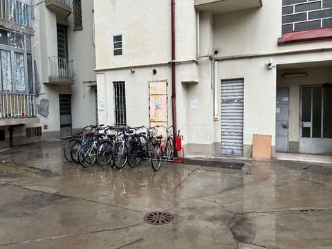 Photo of the lot 7