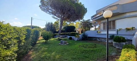Photo of the lot 4