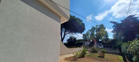 Photo of the lot 5