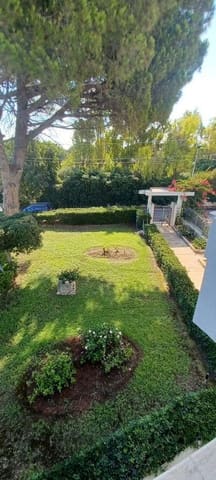 Photo of the lot 8