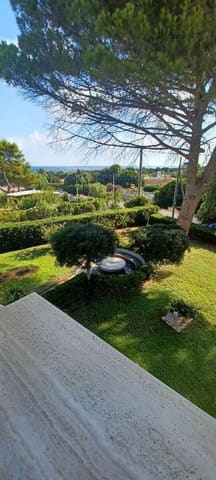 Photo of the lot 9
