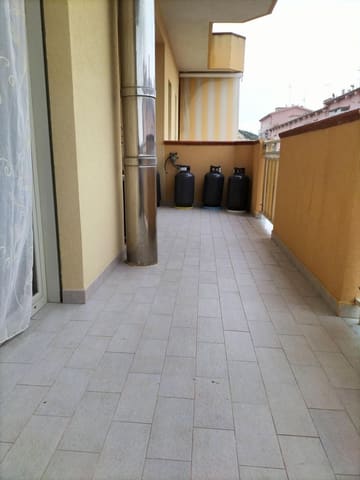 Photo of the lot 3