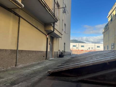 Photo of the lot 4