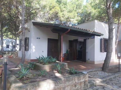 Photo of the lot 1