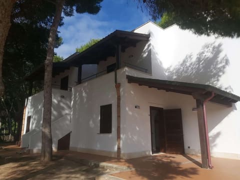 Photo of the lot 3