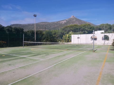 Photo of the lot 5