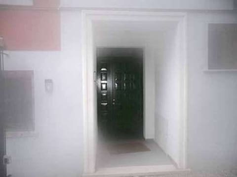 Photo of the lot 4