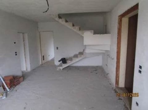 Photo of the lot 3