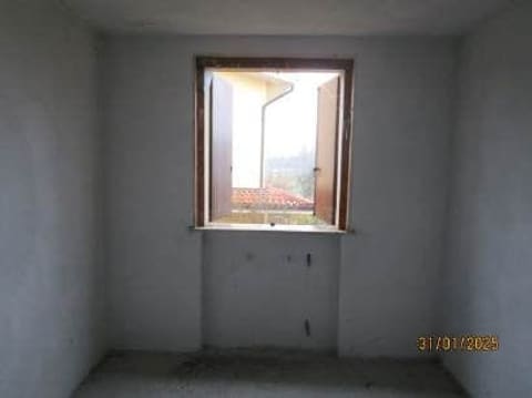 Photo of the lot 6
