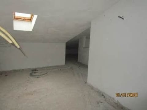Photo of the lot 8