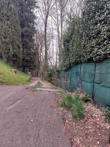 Photo: Altra categoria in Bergamo (BG)