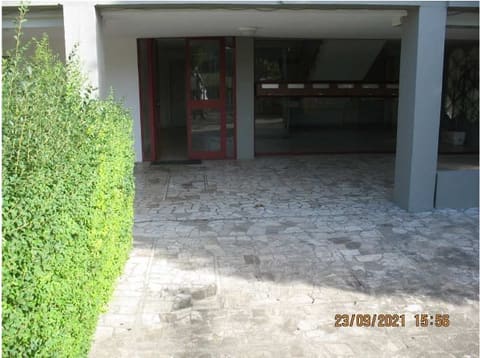 Photo of the lot 3