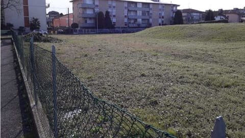 Photo of the lot 5