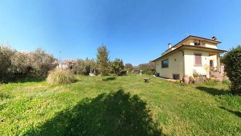Photo of the lot 3