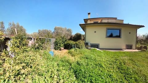 Photo of the lot 4