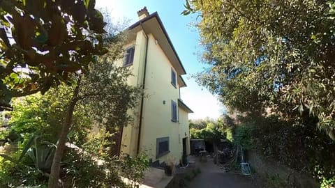 Photo of the lot 5